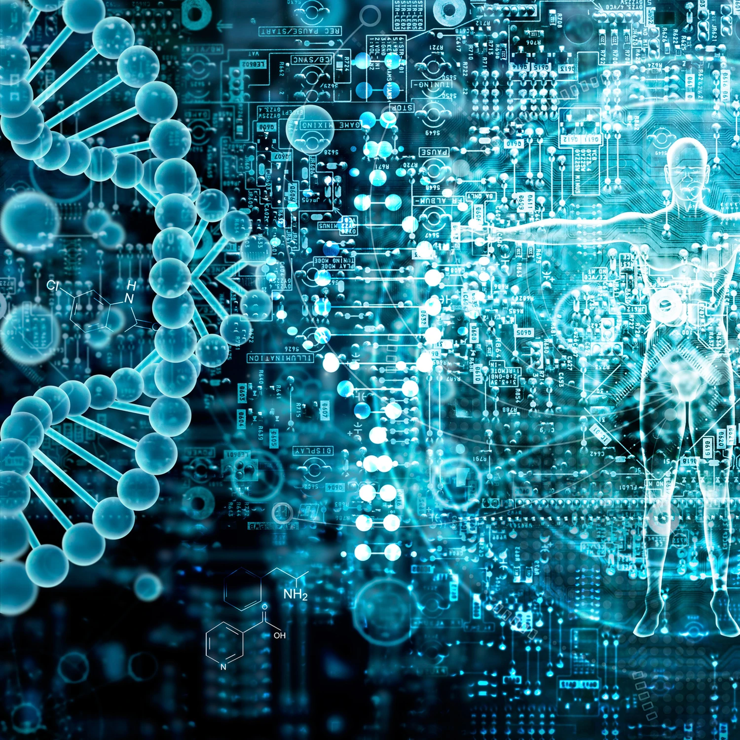 fichier des laboratoires de biologie médicale