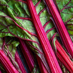 visuel fichiers magasins bio