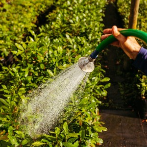 liste des pepinéristes et horticulteurs.Crédit photo JSB